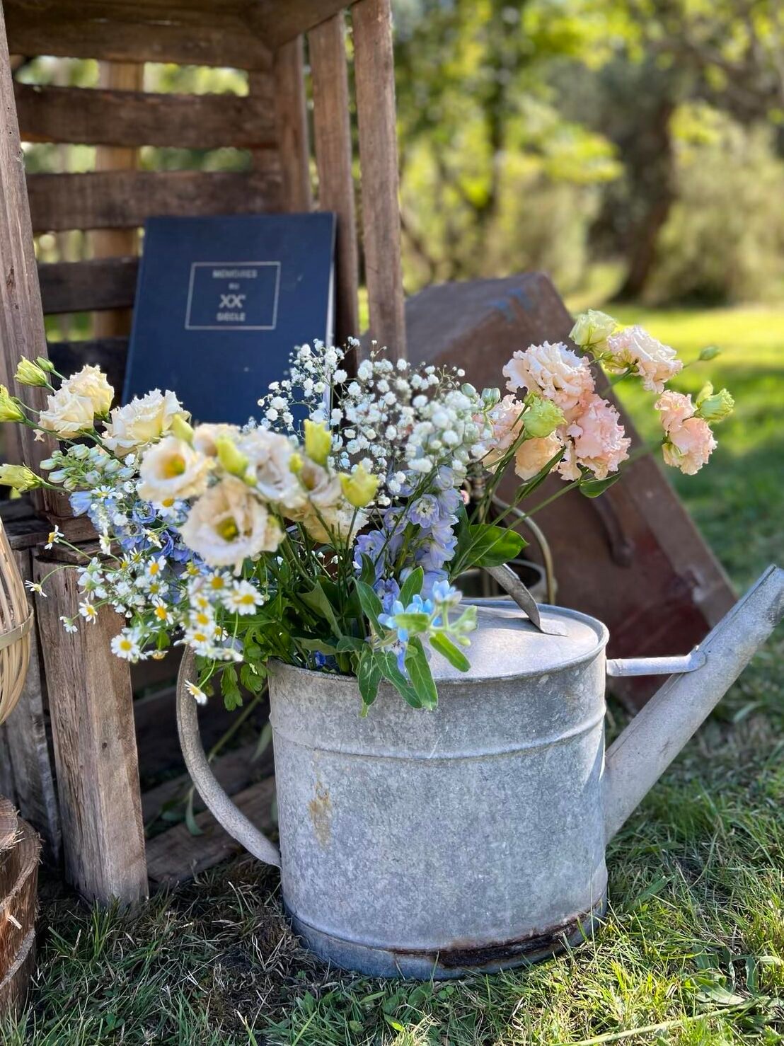 460516437_8431898053553766_5862196537376453731_n